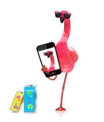 Cercles muraux Chien fou flamingo taking a selfie