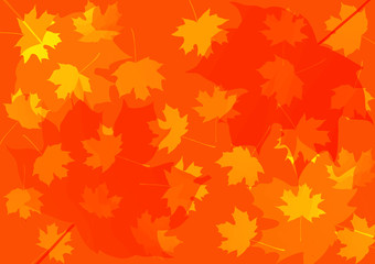 autumn background with maple leaves. vector illustration. thanksgiving background.  back to school. teachers' day. grandparents day