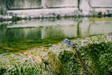 waterfall in japanese garden