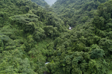 Fototapeta premium Aerial View of Waterfall in the Tropical Rainforest Mountains