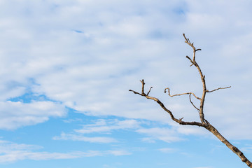 Mountain,Clouds Fog and Sky,Soft background 