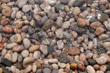 Wet multicolored stones on the beach shine in the sun