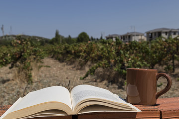 reading book concept for shop. book and coffee on the background at the outside.