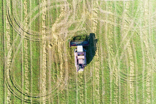 Combine Harvester On The Field. View From Above