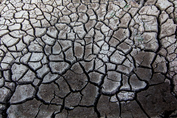 Dry land cracking , Without water,Background and Texture