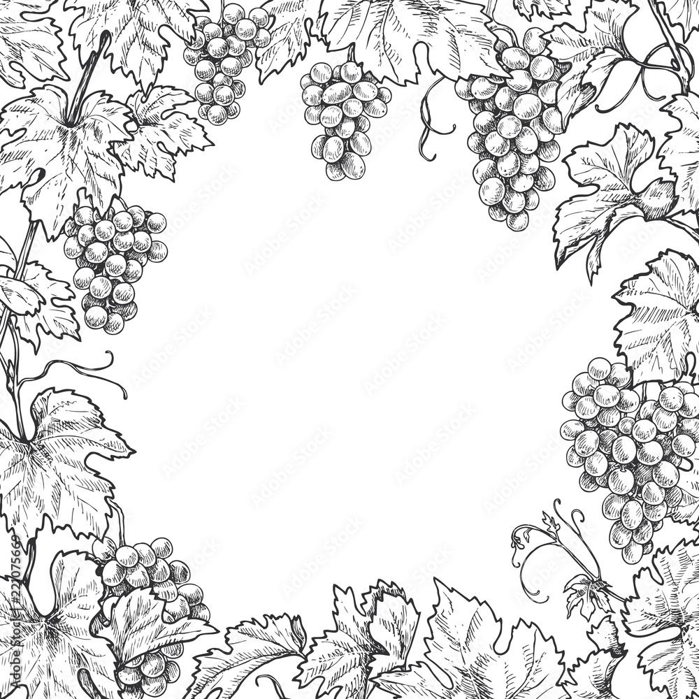 Wall mural monochrome grape branches square frame
