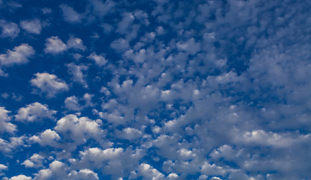 Altociumulus stratiformis Wolkenbilder
