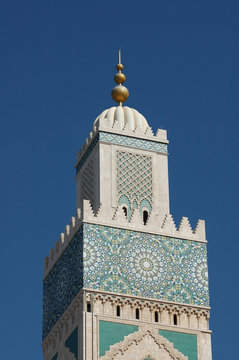 mosche di casablanca
