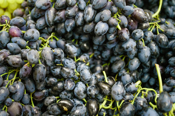 Grapes on the Market.  fresh green grapes and purple grapes.