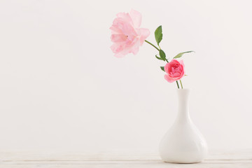 pink roses on white background