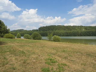 Fototapeta na wymiar summer landscape with green lake or pond with spruce tree hill, sandstne rock and grass meadow trees, blue sky, white clouds