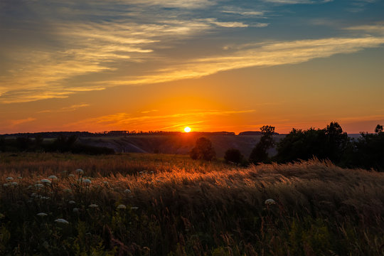 Beautiful summer sunset with waving wild grass in sunlight, rural meadow or field in countryside