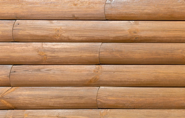 Fototapeta premium Natural wood for use as a background.