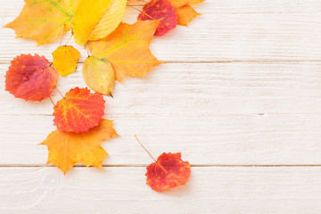 Naklejka na ściany i meble autumn leaves on white wooden background