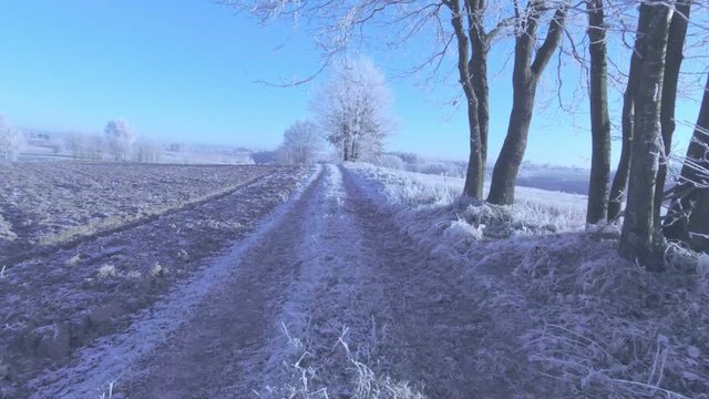 Winter road. Photo of free space for your decoration. Snow and frost.