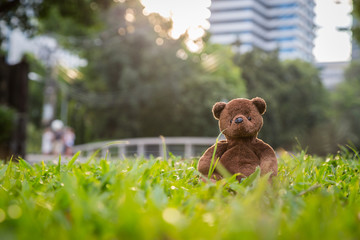 Brown bear doll sitting alone on the lawn