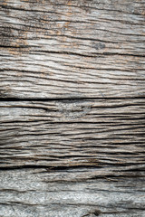 Old wood texture with natural patterns
