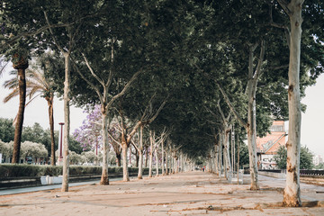 Riverside park in Sevilla.
