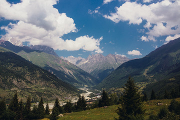 Fototapeta premium the summer Green Mountains of Georgia
