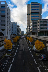 Quiet street with trees