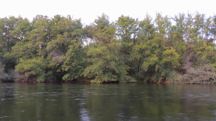 Paisaje de arboles a la orilla del río al atardecer con cielo despejado a finales del verano. Tema de naturaleza y vegetación