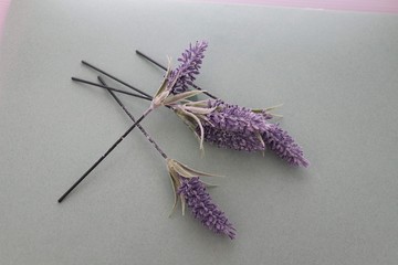 bunnch of lavender on a palin background, scented flower