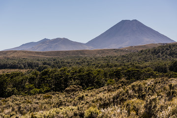 Obraz premium Tongariro Alpine Crossing, Mount Ngauruhoe