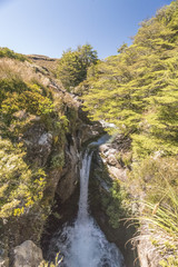 Fototapeta na wymiar Tongariro National Park - Waterfall