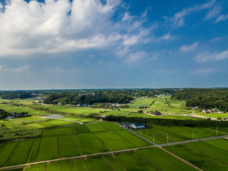 Fototapeta na wymiar Agriculture landscape in Ibaraki of Japan_27