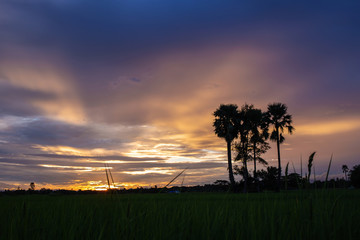 Colorful dramatic sky with cloud at sunset.Sky with sun background