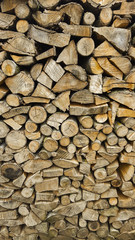 Heap of wooden logs