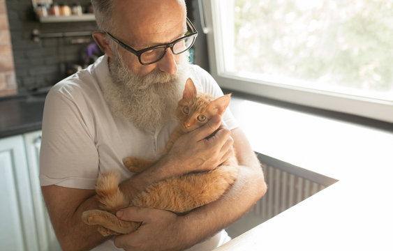 Elderly Man With His Cat Working On Laptop, Smiling, Looking At Screen.