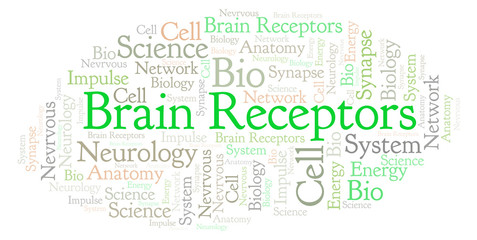 Obraz premium Brain Receptors word cloud.