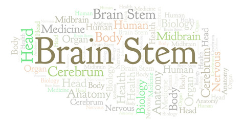 Obraz premium Brain Stem word cloud.