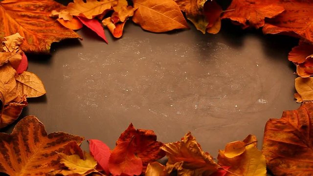 Black chalkboard autumn leafs studio footage hd