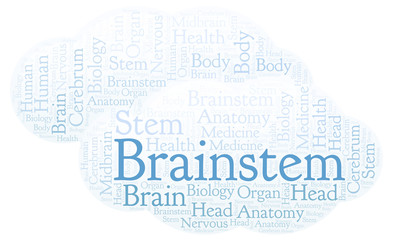 Fototapeta premium Brainstem word cloud.