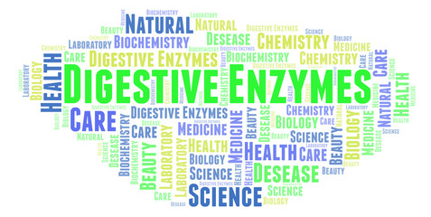 Digestive Enzymes word cloud.
