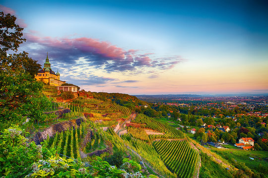 Radebeul Sachsen Weinh&auml;nge Spitzhaus Dresden Wein Gr&uuml;n Sonne Himmel
