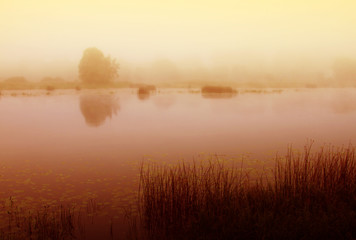 Obraz premium Summer misty sinrise on river