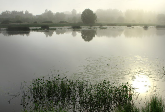 Misty river landscape