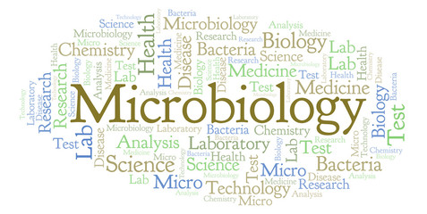 Fototapeta premium Microbiology word cloud.