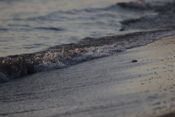 Fototapeta na wymiar Wave on the beach