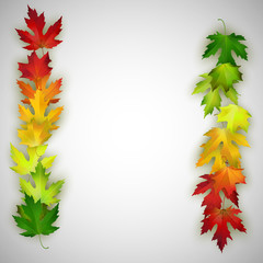 Autumn banner with colorful maple leaves, vector illustration