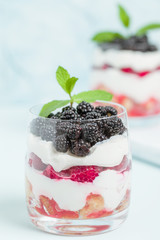 Fresh healthy multilayered dessert trifle with raspberries and blackberries on pastel blue background.
