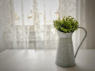 Green plants in a retro aged container