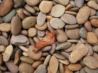 stone background,rock wall texture