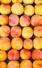 Plums 