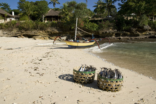 Corfs and fishing boat on beach in Indonesia