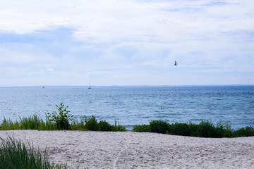 Strand an der Ostsee im Sommer