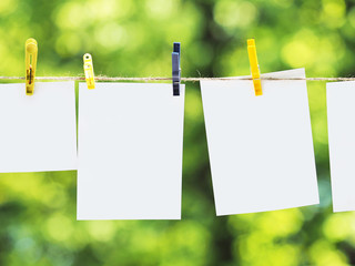 Empty paper sheet frames hanged by colored clothespins on green leaves nature  background. Blank...